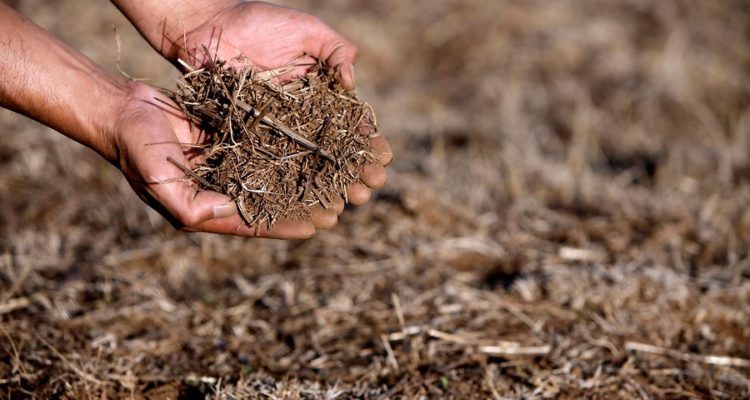 CONTEXTO | Agencia UNO