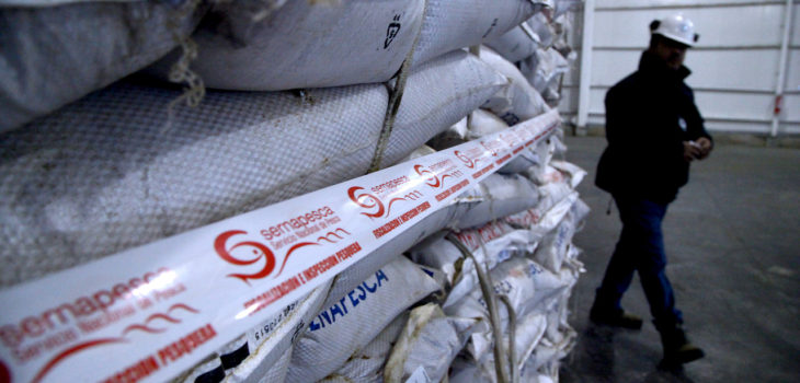 
Archivo | Agencia UNO