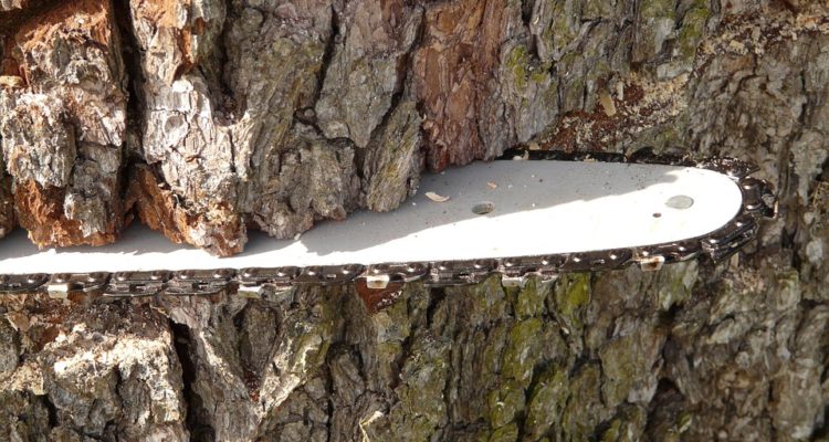 CONTEXTO | Max Pixel