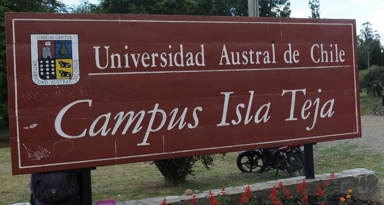 ARCHIVO | Agencia UNO