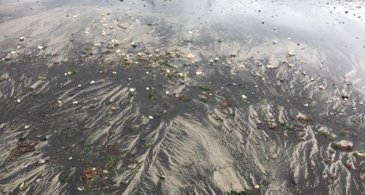 Contexto | Twitter | @ReneSquellaSoto