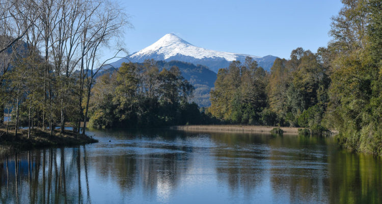 Archivo | Agencia UNO