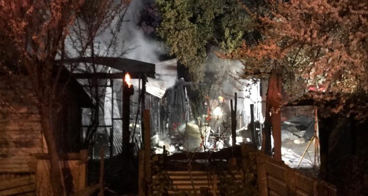 Vladimir Sáez | RBB