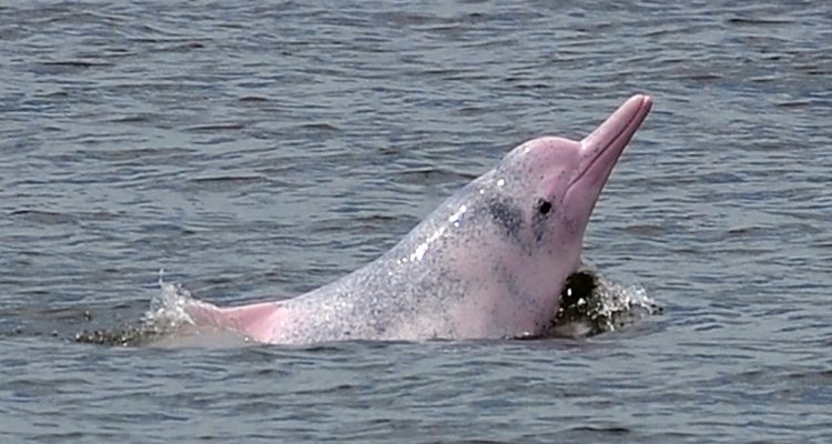 Daniel SORABJI / AFP