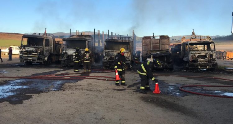 Vladimir Sáez | RBB