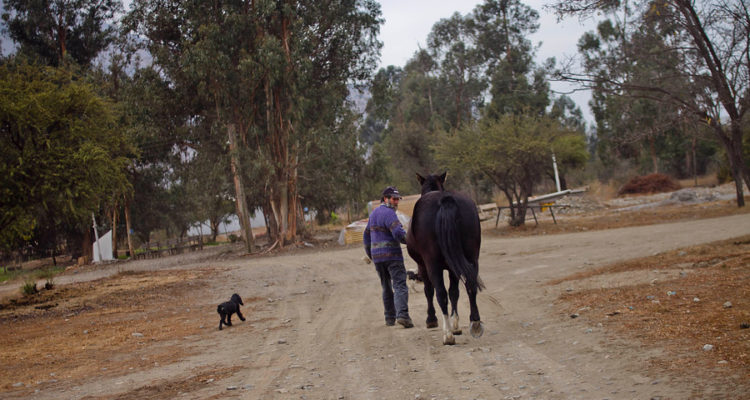 ARCHIVO | Hans Scott | Agencia UNO