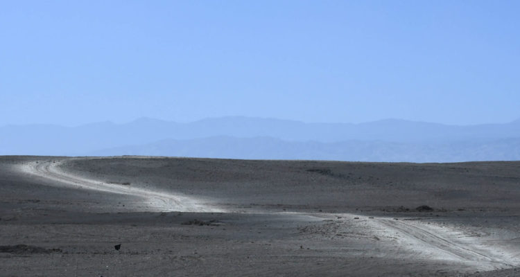 CONTEXTO | Agencia UNO