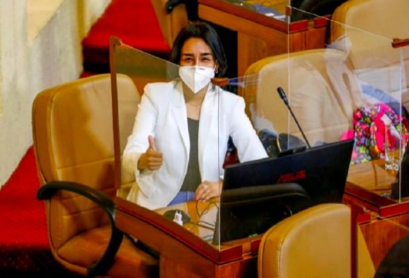 Diputada Aracely Leuquén (Twitter)