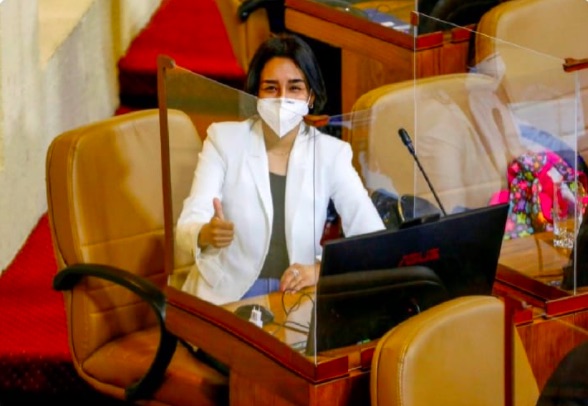 Diputada Aracely Leuquén (Twitter)