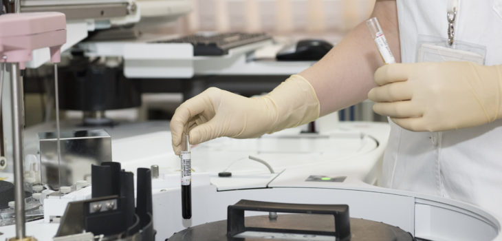 CONTEXTO | Pixabay (cc)