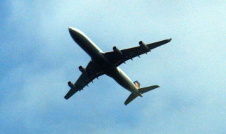 CONTEXTO |  Nils | Wikimedia Commons 