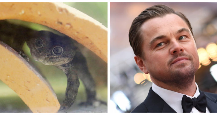 Agence France Presse | Twitter 