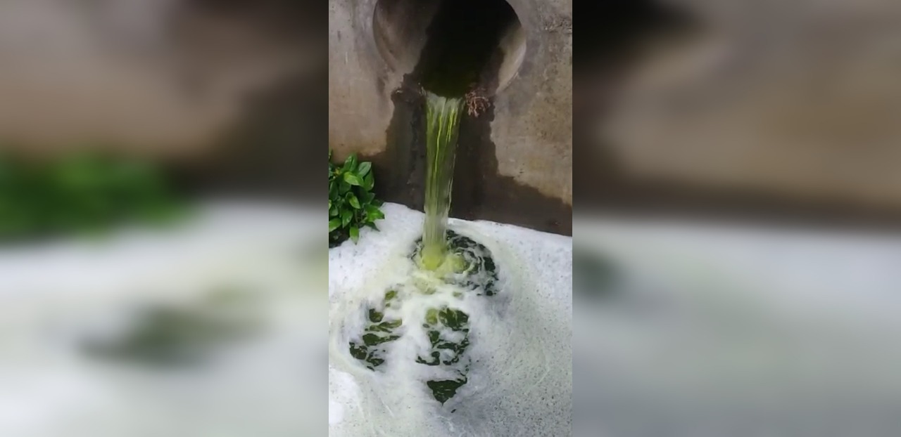 Captura de video