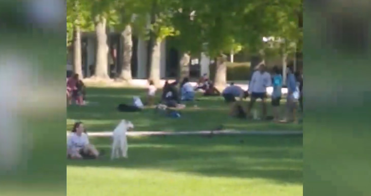 Cedida a BioBIoChile