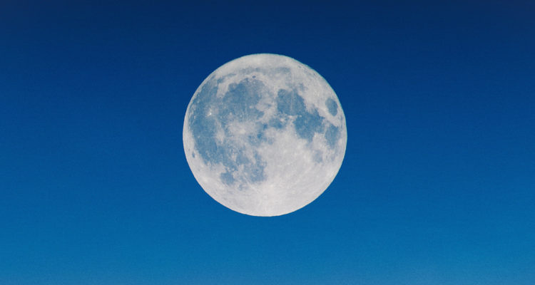 Alex Andrews | Pexels (CCO)