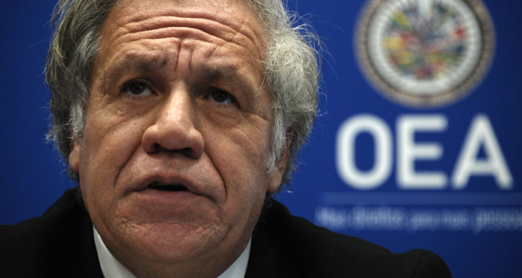 Eva Hambach | Agence France-Presse