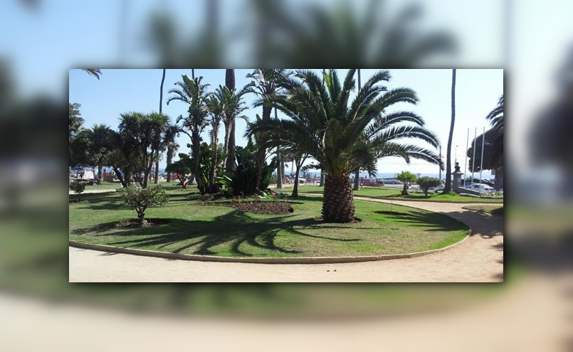 visitevinadelmar.cl