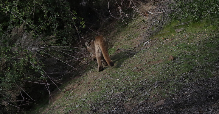 Contexto | Agencia UNO