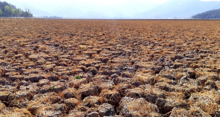 CONTEXTO | Laguna de Aculeo en 2019. Emilio Lara (BBCL)