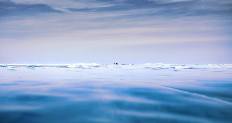 Simon Matzinger | Pexels (CCO)