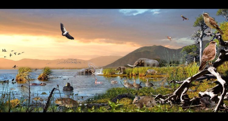 Representación Mauricio Álvarez | U. de Chile