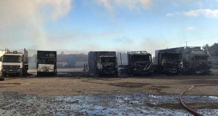 Vladimir Sáez | RBB