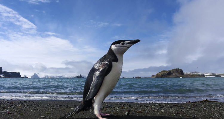 ARCHIVO | Agencia UNO