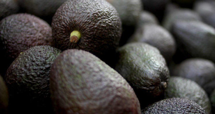 Archivo | Agencia UNO
