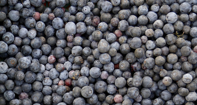 CONTEXTO | Agencia UNO