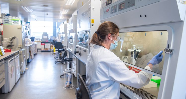 John Cairns | Universidad de Oxford | AFP