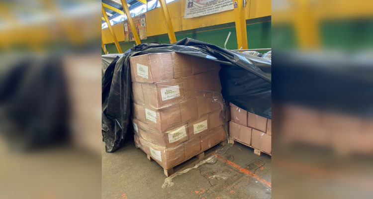 Concejal Gustavo Toro