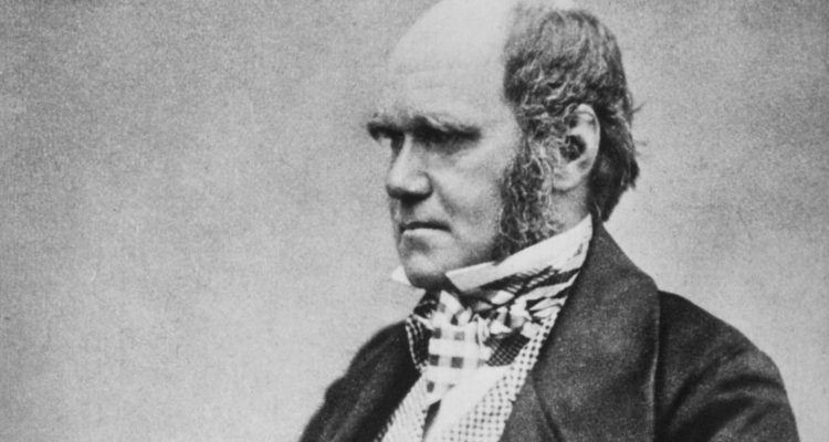 Charles Darwin | Universidad de Cambridge