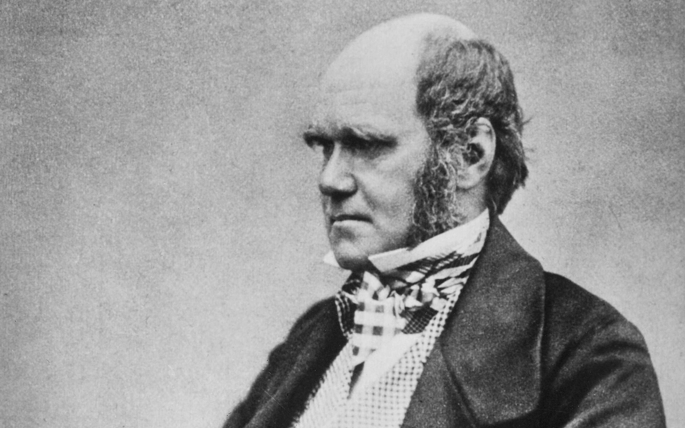 Charles Darwin | Universidad de Cambridge