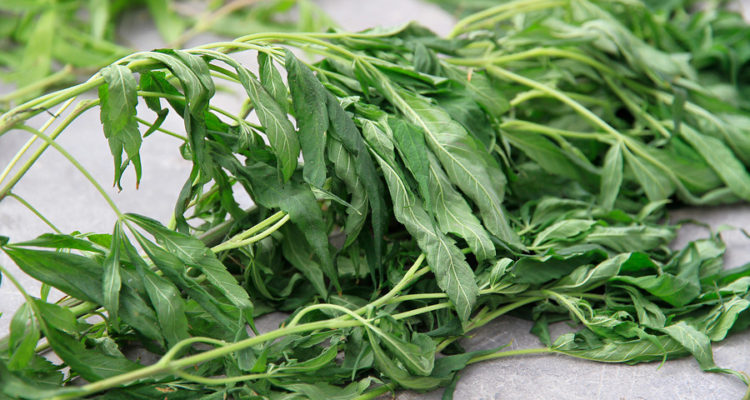 CONTEXTO | Agencia UNO