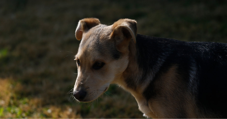 CONTEXTO | Agencia UNO