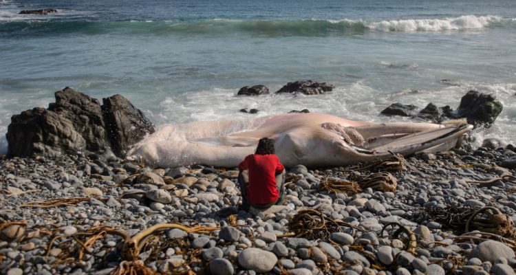 Película “El otro”