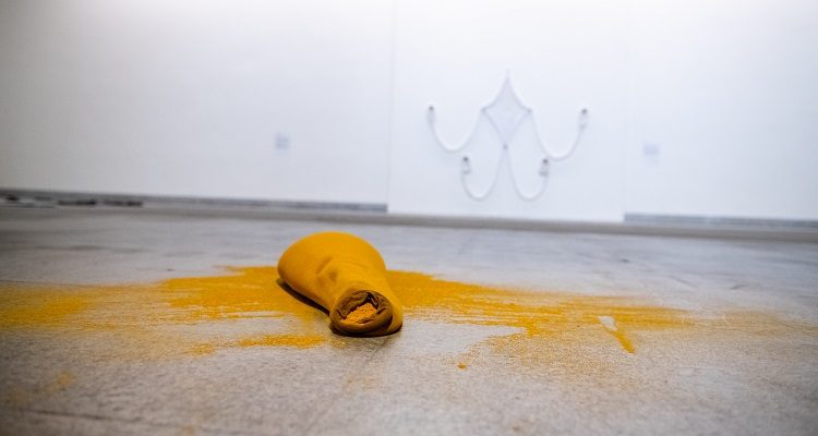 Ernesto Neto, CCLM (c)