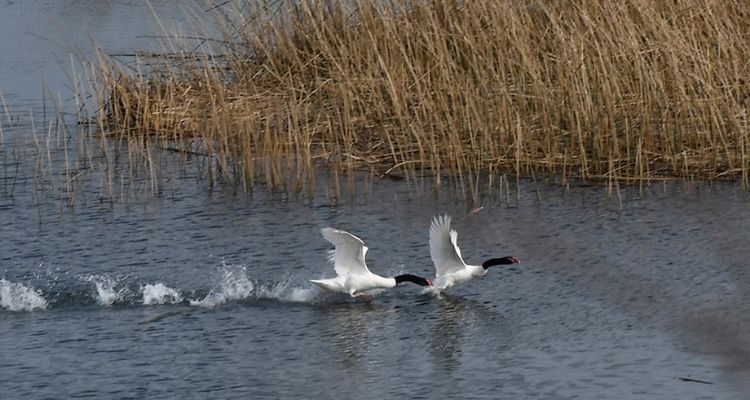 Contexto | AgenciaUNO