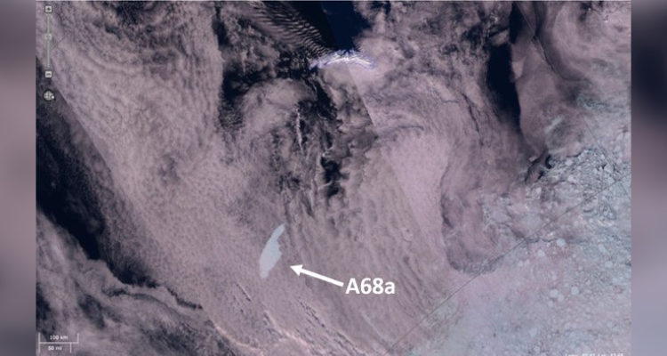 Imágenes desde el espacio tomadas por Copernicus Sentinel 3 Mosaic | Polar View
