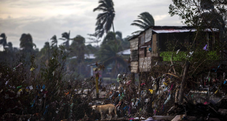 STR | Agence France-Presse
