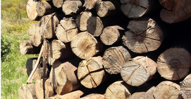 Archivo | Agencia UNO