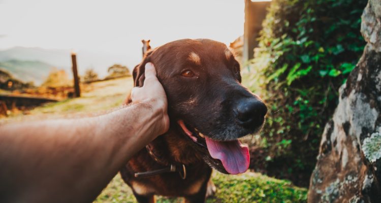 Matheus Bertelli | Pexels (CCO)