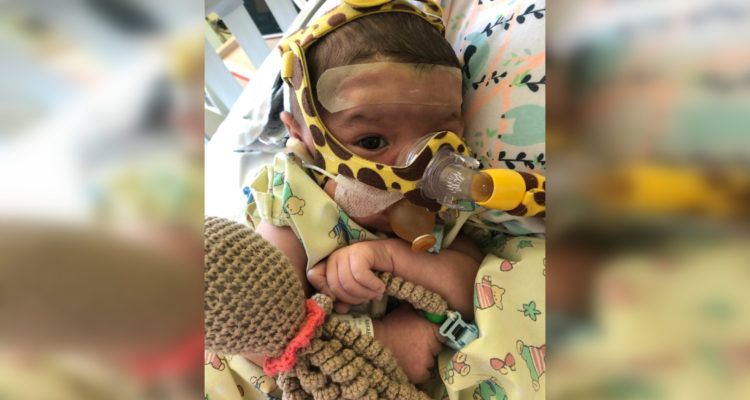 Cedida | Rafael Calderón Benavente 