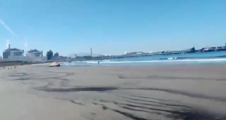 Captura video | @LandeckH | Twitter