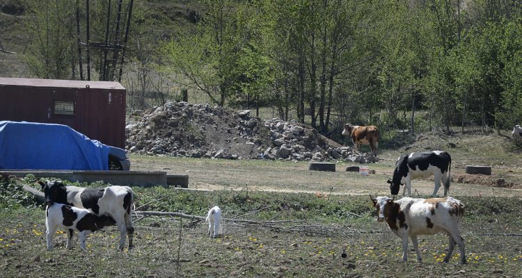 Contexto | Agencia UNO