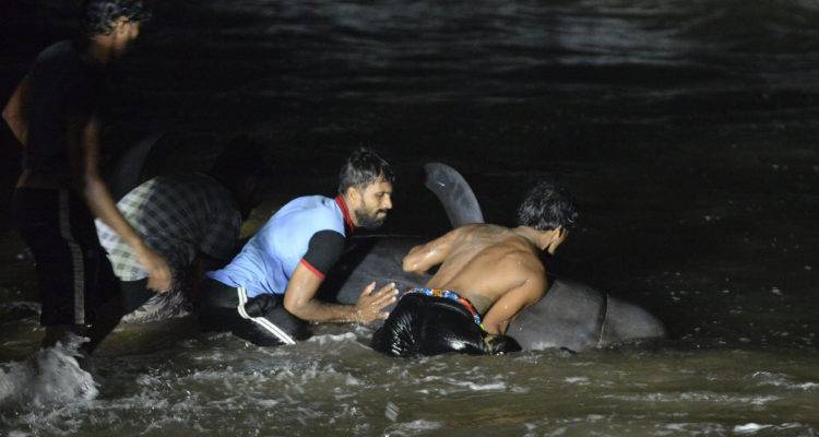 Lakruwan Wanniarachchi | Agence-France-Presse