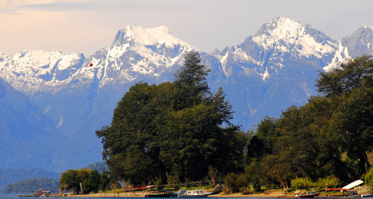 Francisco Negroni | Agencia UNO