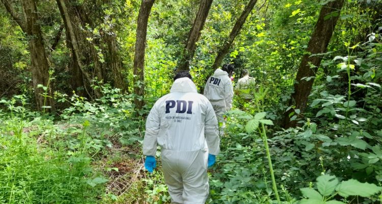 Valentina Balboa | RBB (Los Ángeles)