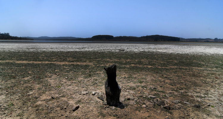 ARCHIVO | Pablo Ovalle | Agencia UNO