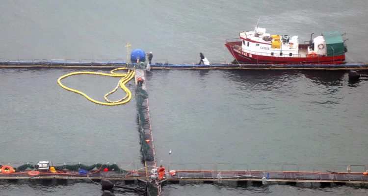 Contexto | Agencia UNO